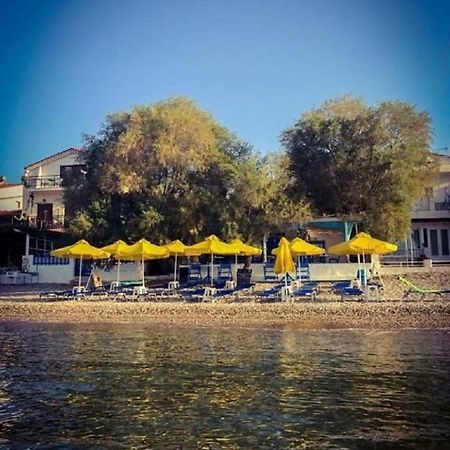Hotel Katerina Πυθαγόρειο Εξωτερικό φωτογραφία