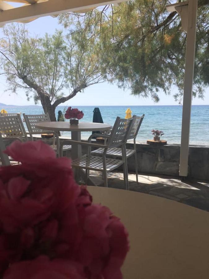 Hotel Katerina Πυθαγόρειο Εξωτερικό φωτογραφία