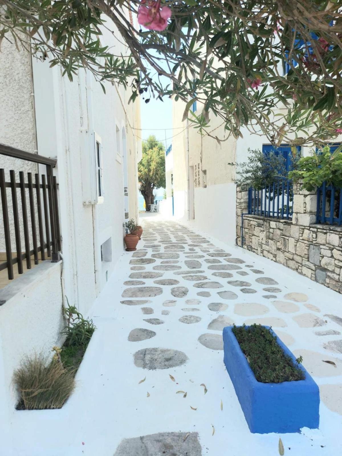 Hotel Katerina Πυθαγόρειο Εξωτερικό φωτογραφία